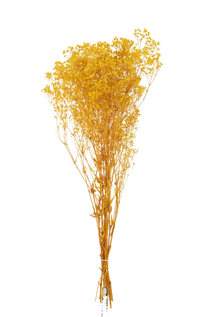 Bouquet de gypsophile séchée jaune
