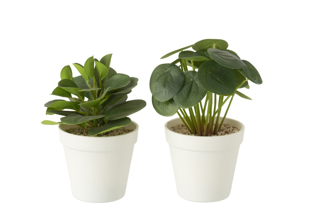 Plantes en pot artificielles vertes