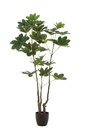 Money Tree Pot Plastic Green