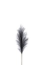 Branche Plumeau Plastique Noir Petit