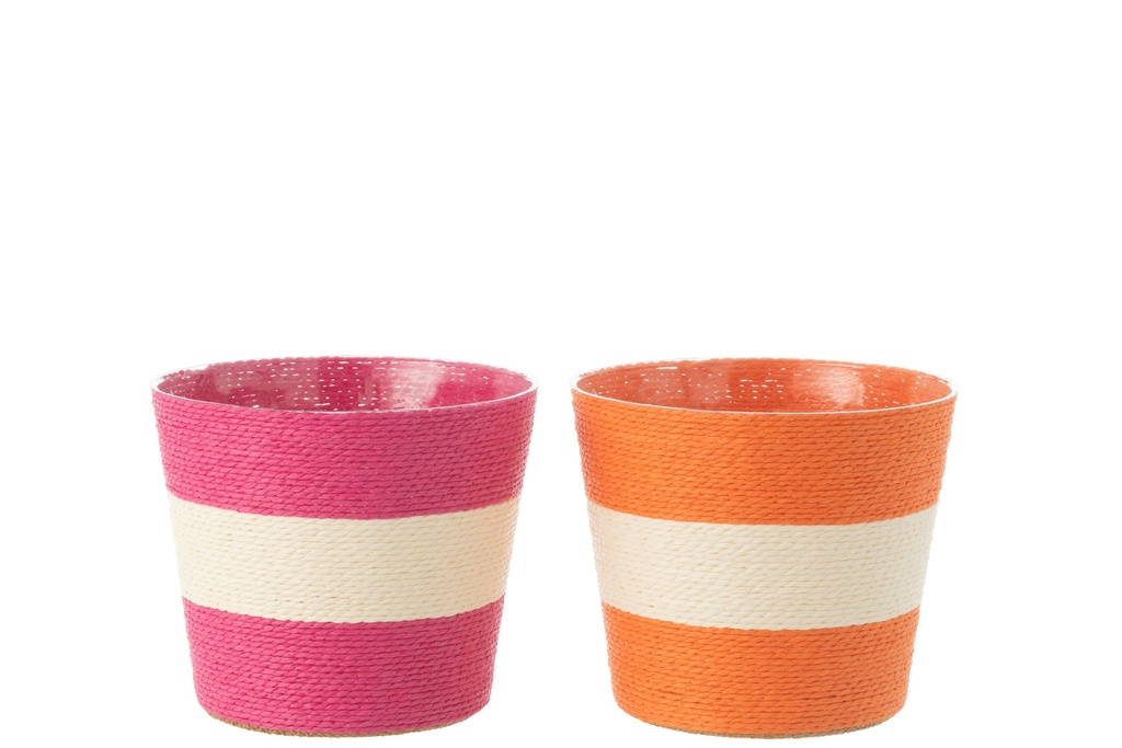 Flowerpot Ropes Stripe Paper/PET Pink/Orange