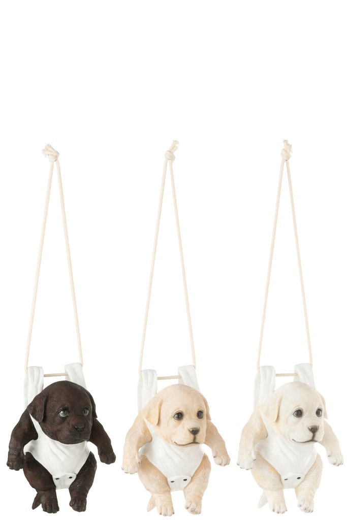 Dog+Diaper B Polyresin Mix Assortment
