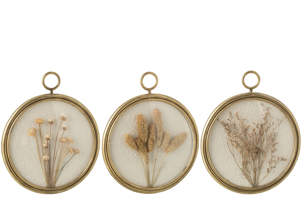 Wall Decoration Seed Iron/MDF Mix