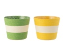Flowerpot Ropes Stripe Paper/PET Yellow/Green