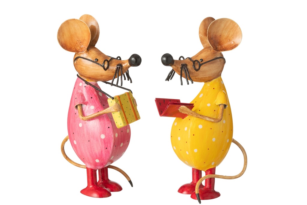 Souris Livre + Étui Fer