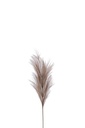Branch Plumeau Plastic Dark Brown