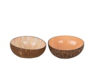 Demi-boule de noix de coco Nuye Nut/Peinture