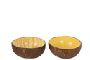 Demi-boule de noix de coco Nuye Nut/Peinture