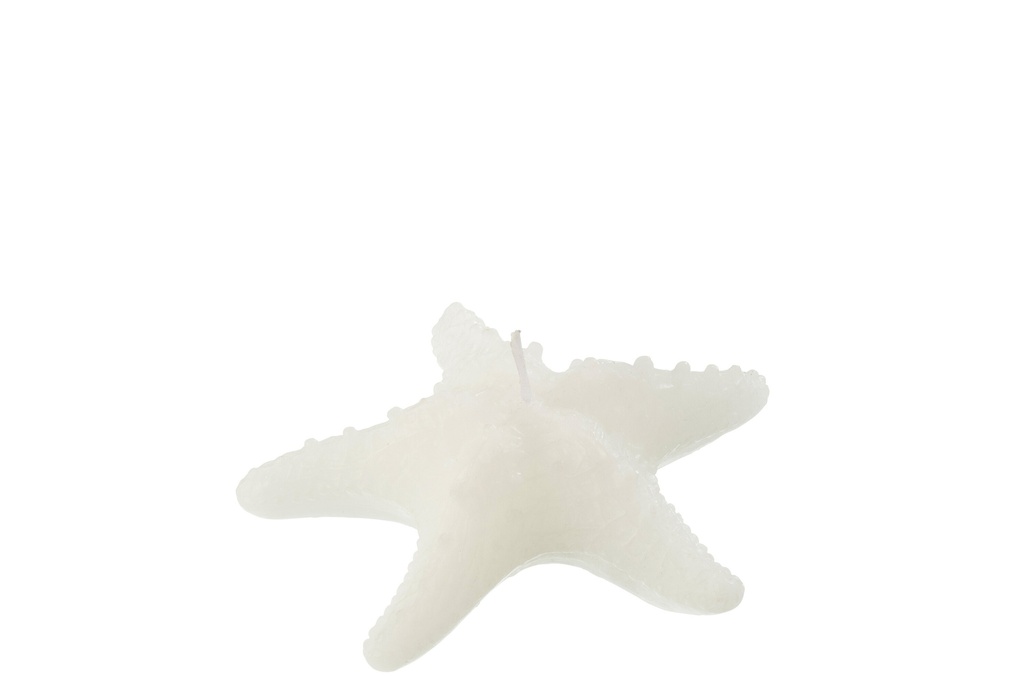 Bougie Étoile de Mer Cire Blanche