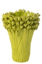 Vase Ambrosia Ceramic Green Large