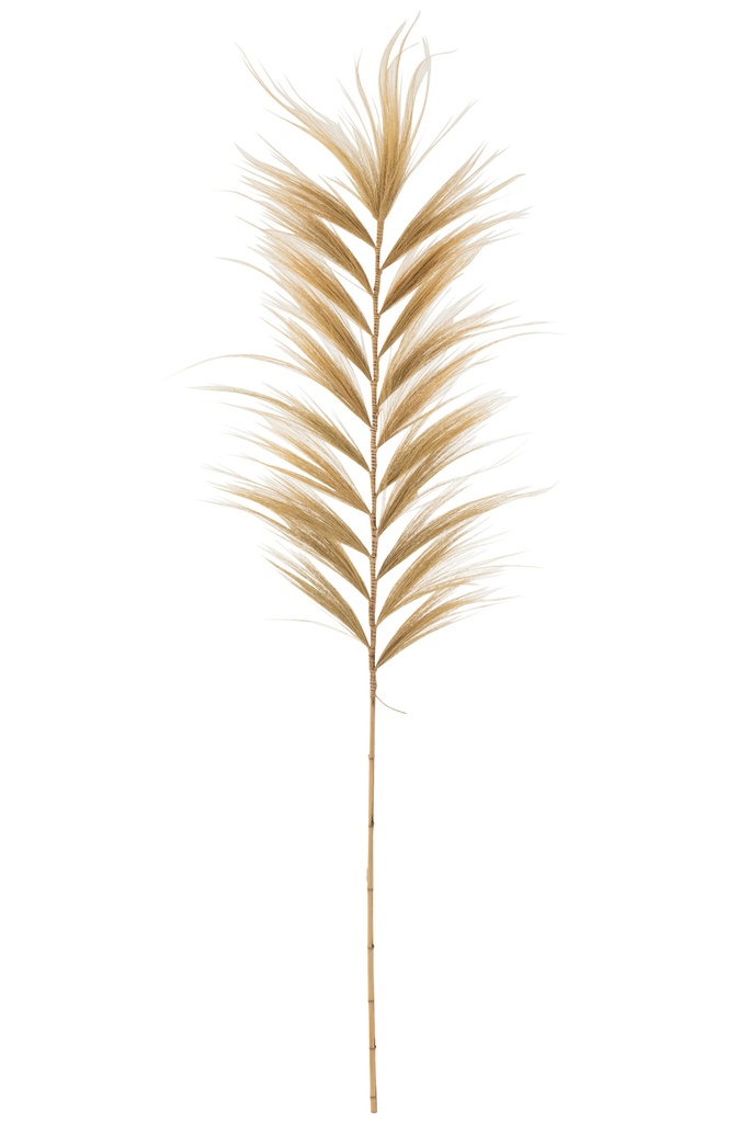 Branch Rayung Grass Natural