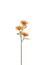 Fleur Marguerite Plastique Orange