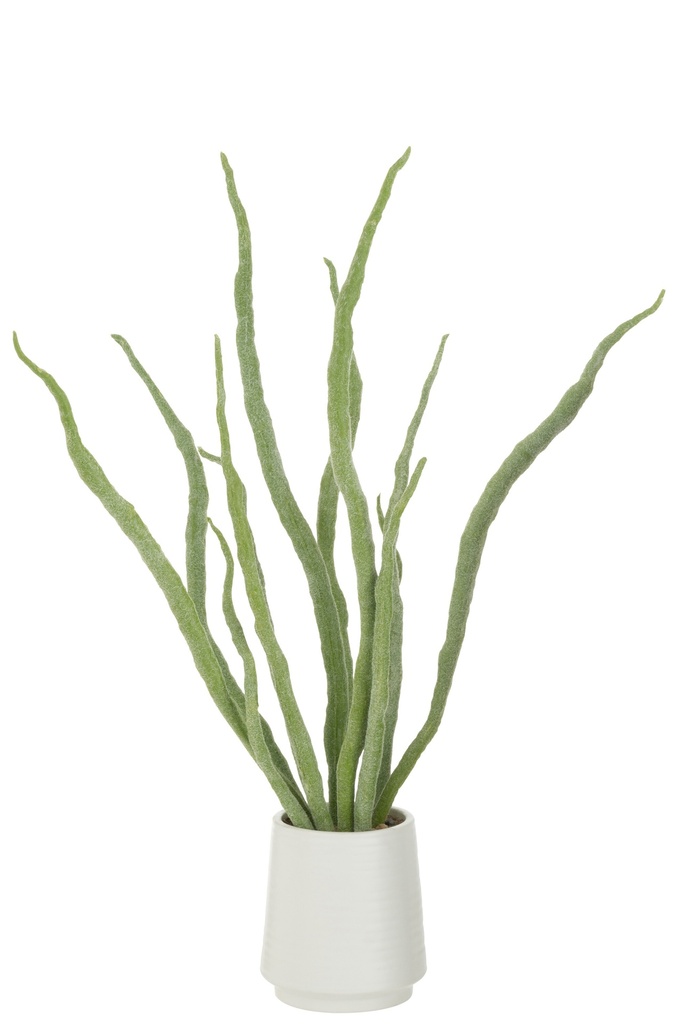 Succulent Plant In Pot Artificial