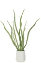Plante succulente artificielle en pot