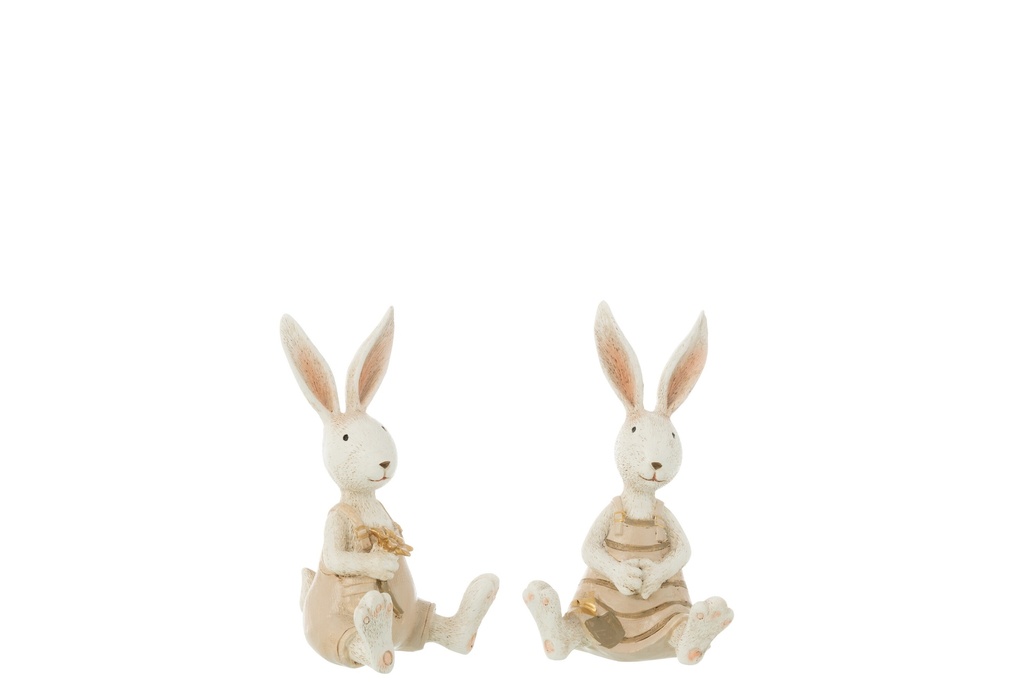 Rabbit Sitting Flowers Resin Mix