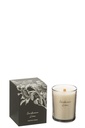 Scented Candle Cardamon Lime Coconut