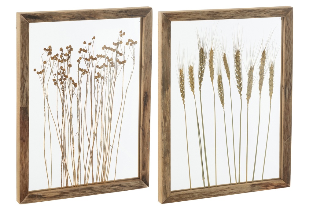 Wall Decoration Cereal Pinewood/Glass Transparent/Brown