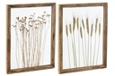 Décoration murale Céréales Pin/Verre Transparent/Marron