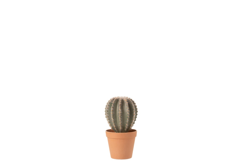 Cactus en forme de boule + pot en matériau synthétique