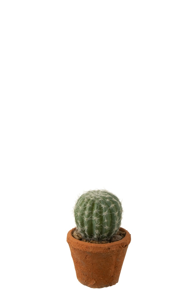 Cactus Round In Pot Plastic