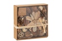 Potpourri Flowers/Nuts Brown