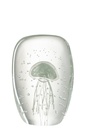 Paperweight Calypso Square Glass Transparent/Green