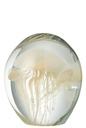 Presse-papier Calypso Verre Transparent/Beige Grand