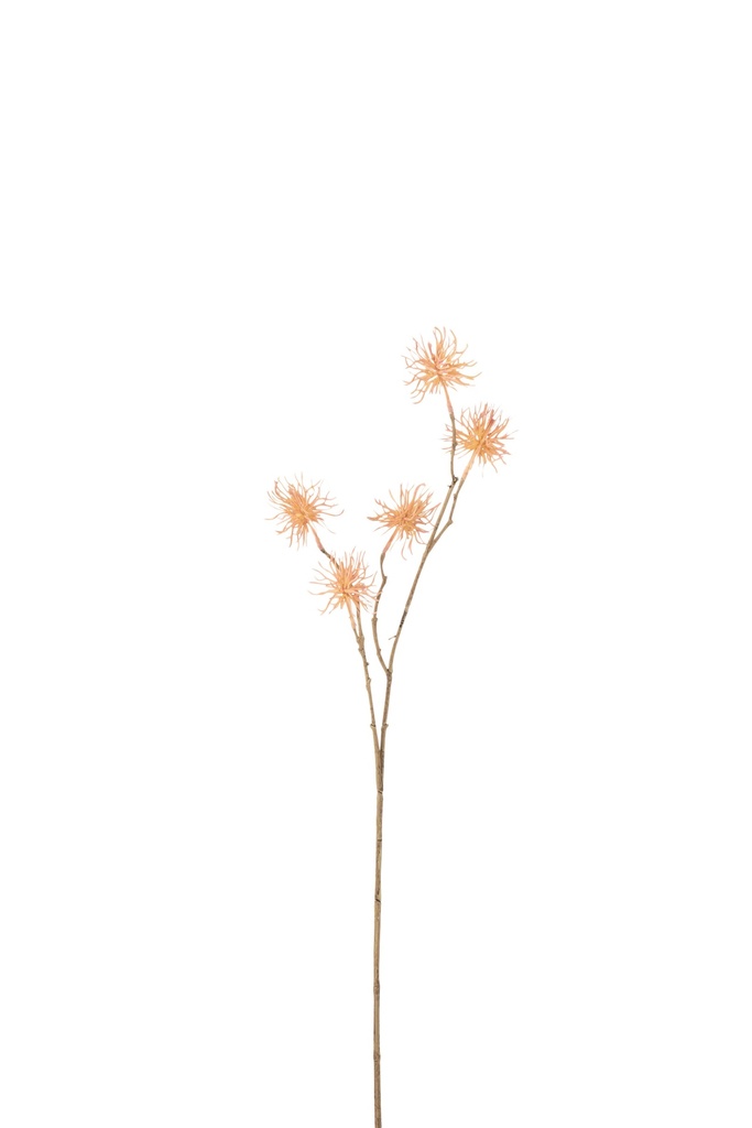Branche Unchin Plastique Orange Clair