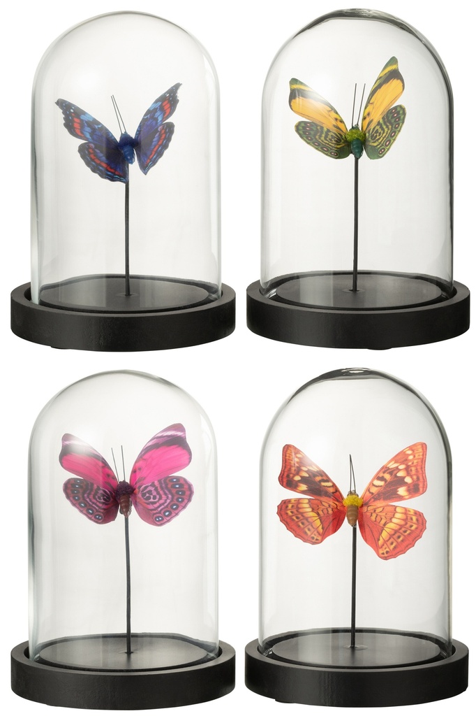 Bell Jar Butterfly Glass/Paper Mix