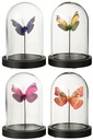 Cloche en verre papillon en mélange verre/papier