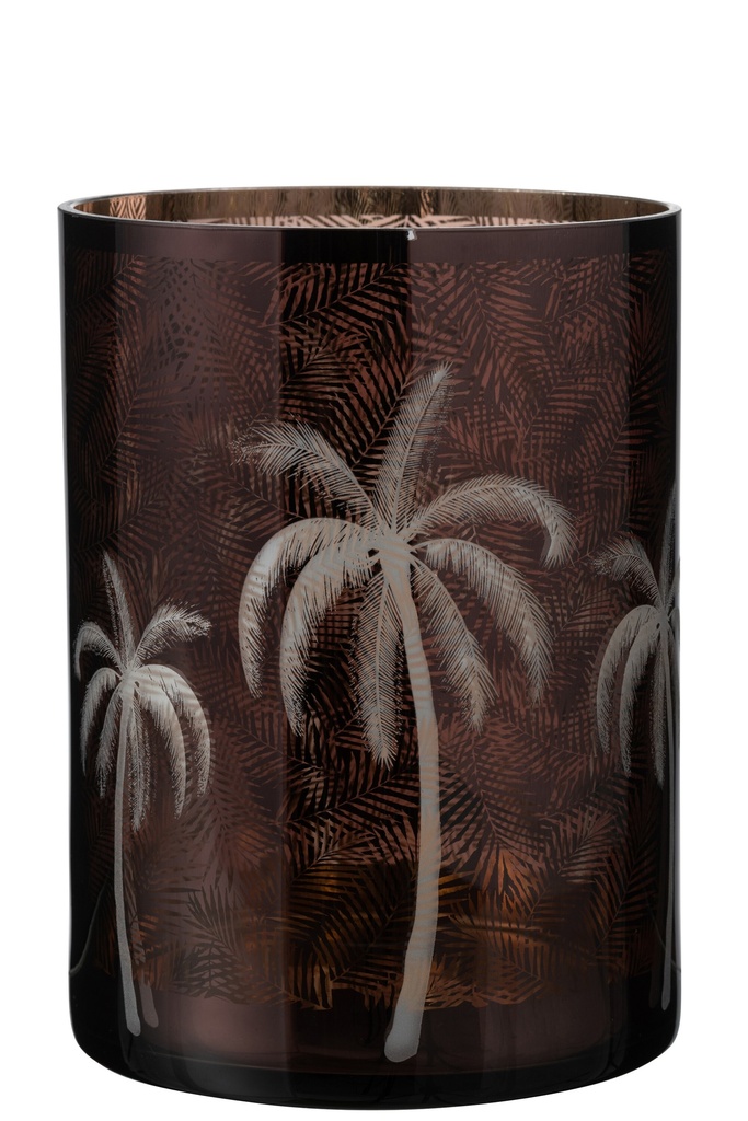 Hurricane Palm Tree Verre Marron
