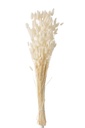 Bundle Feather Bunnytail Dried Ecru