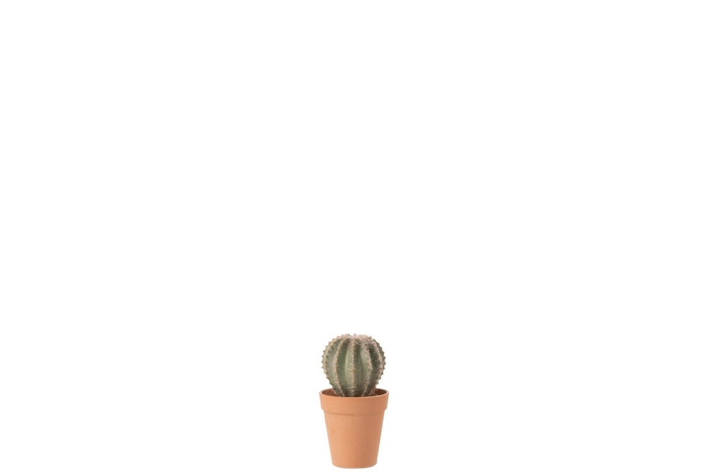Cactus en forme de boule + pot en matériau synthétique