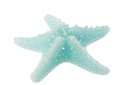 Candle Star Fish Wax Azure