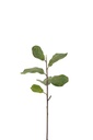 Fiddle-Leaf Branch Plastic Dark Green
