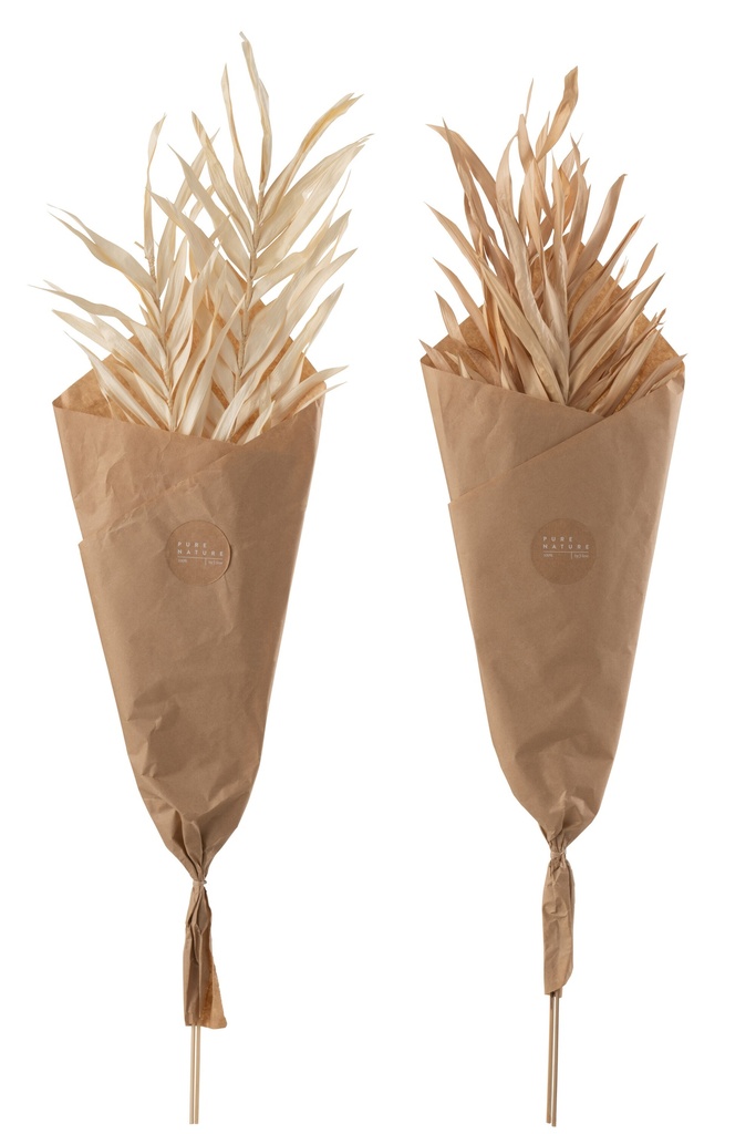 Feuilles séchées 2 pièces naturelles