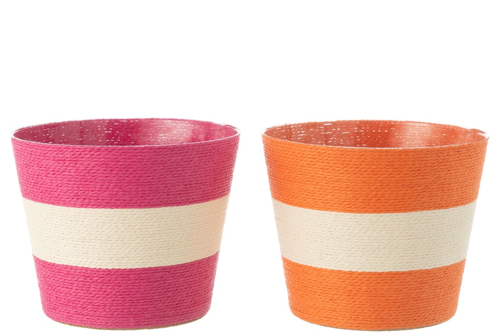 Flowerpot Ropes Stripe Paper/PET Pink/Orange