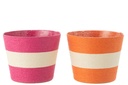 Flowerpot Ropes Stripe Paper/PET Pink/Orange