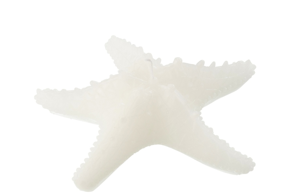 Bougie Étoile de Mer Cire Blanche