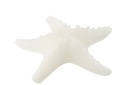 Bougie Étoile de Mer Cire Blanche