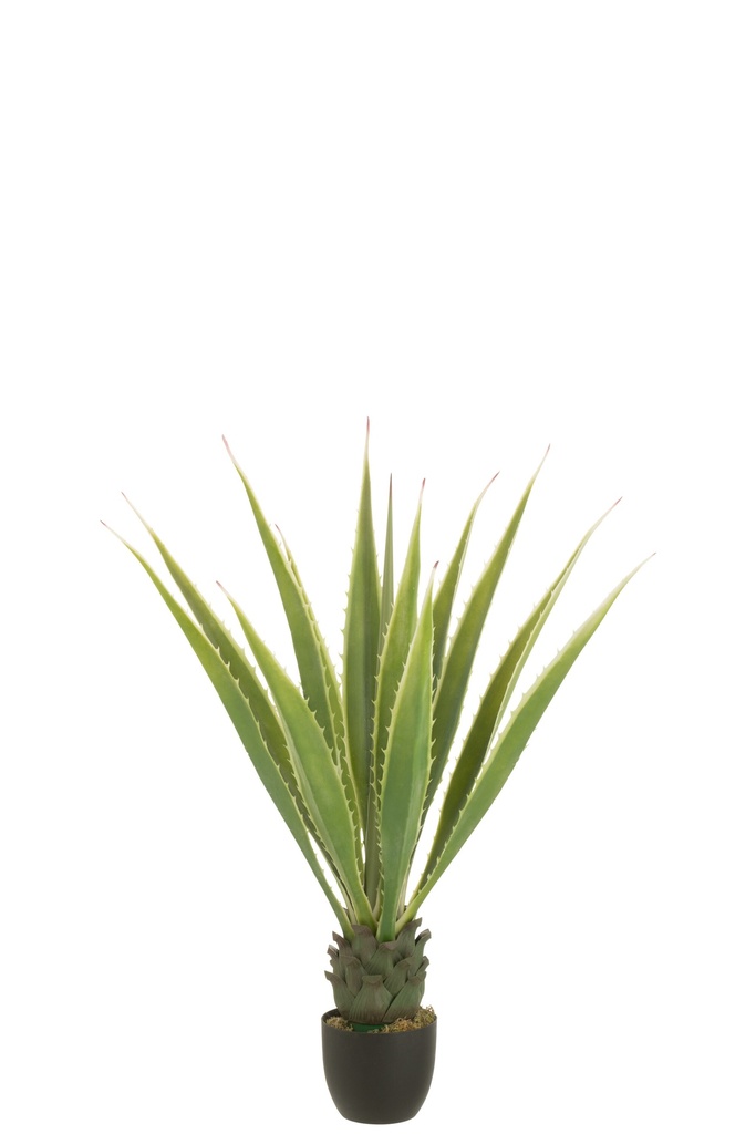 Agave Off-White Edge Pot Artificial