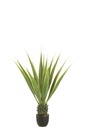 Agave Off-White Edge Pot Artificial