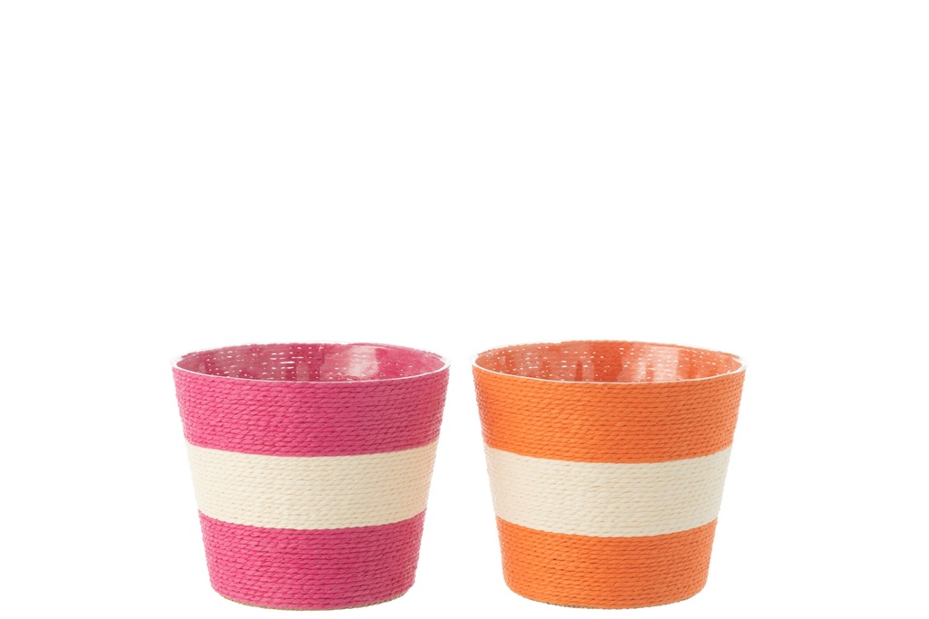Flowerpot Ropes Stripe Paper/PET Pink/Orange