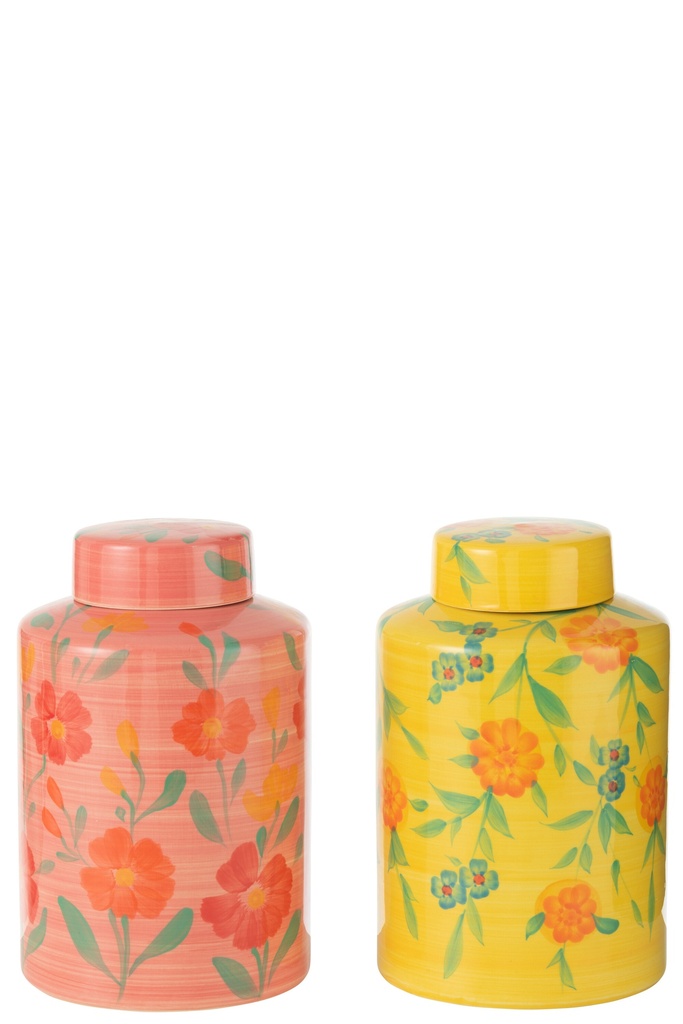 Assortiment de mélanges d'argile Alegria en pot