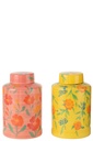 Assortiment de mélanges d'argile Alegria en pot