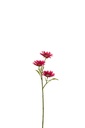 Fleur Marguerite Plastique Fuchsia
