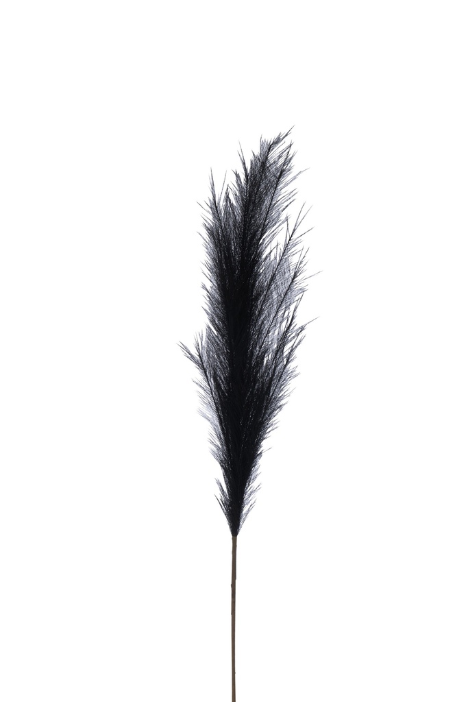 Branche Plumeau Plastique Noir Moyen