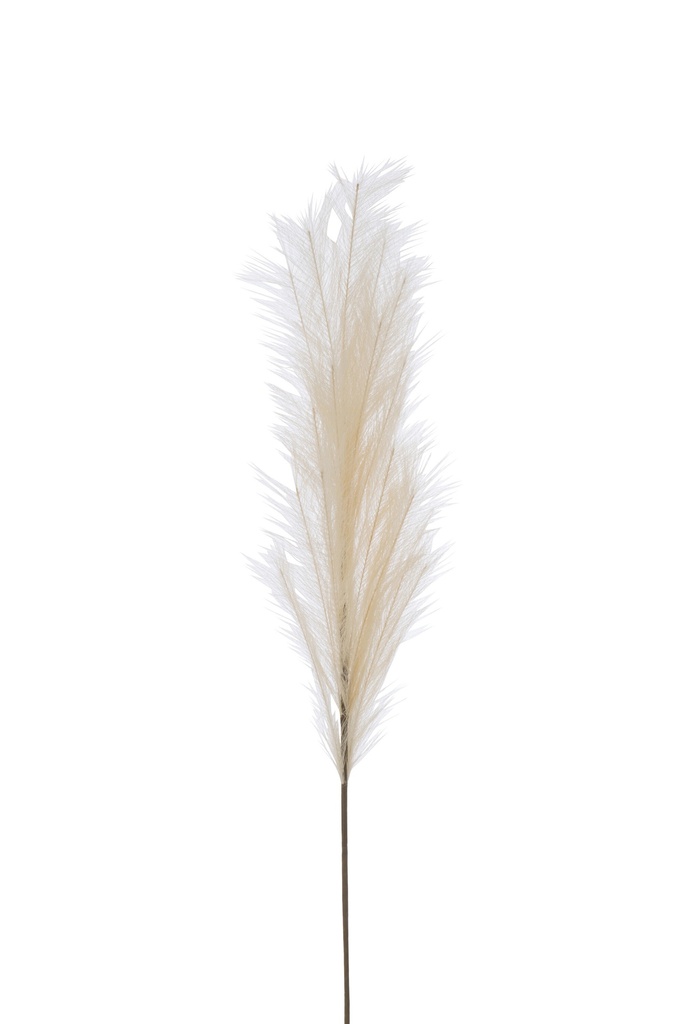 Branche Plumeau Plastique Beige Moyen