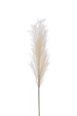 Branch Plumeau Plastic Beige Medium