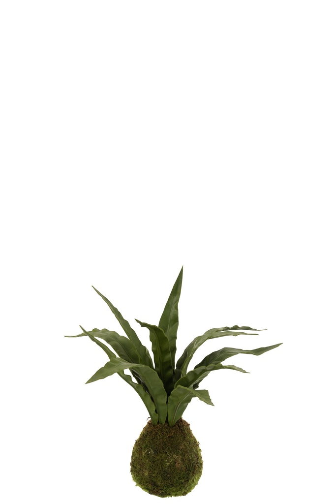 [12520] Boule de terreau en plastique pour plantes serpent